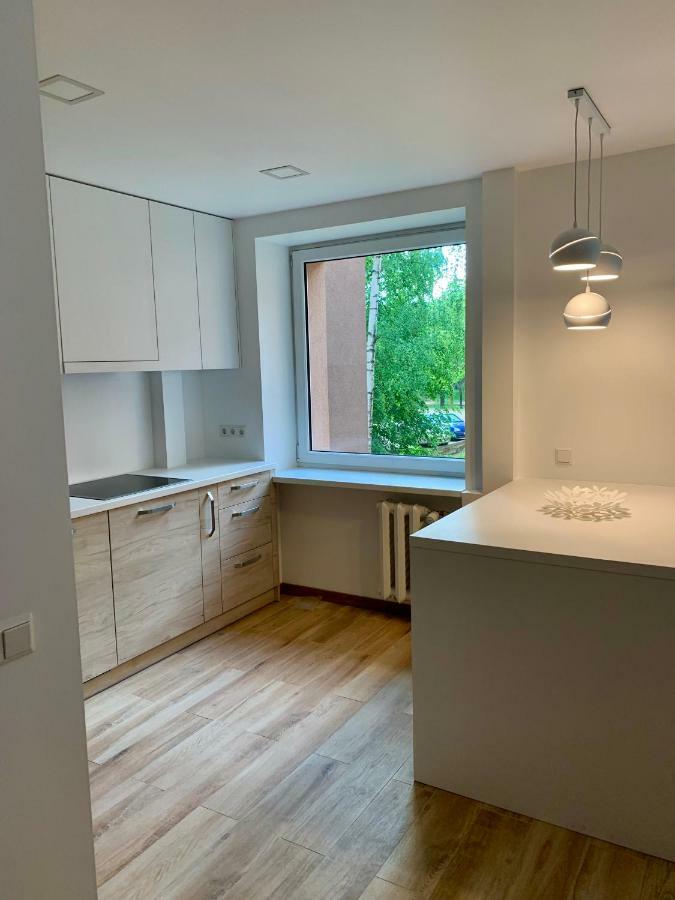 Alytus Apartament Zewnętrze zdjęcie